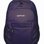 Neviblue Laptop Backpack (Titan)